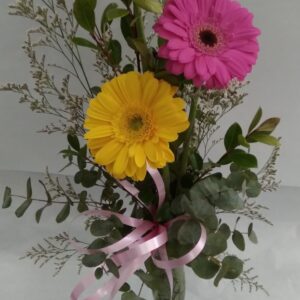 Copa Gerberas