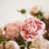 a close up of some flowers